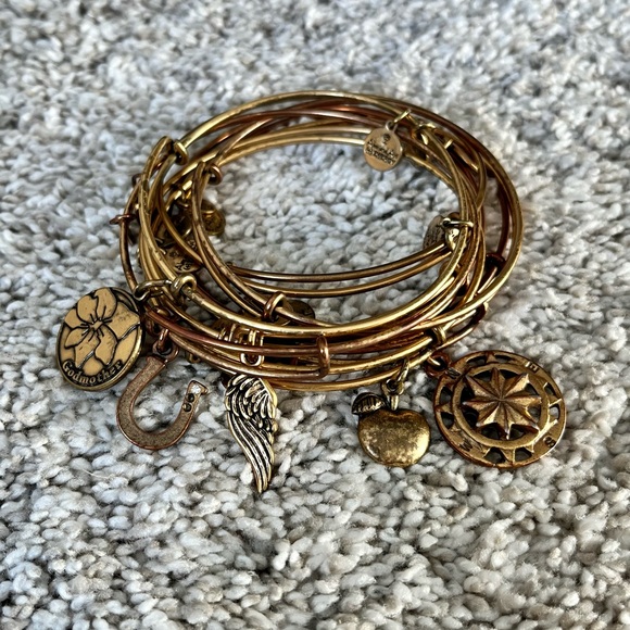 Alex and Ani charm bangles set of 9 - Picture 2 of 11